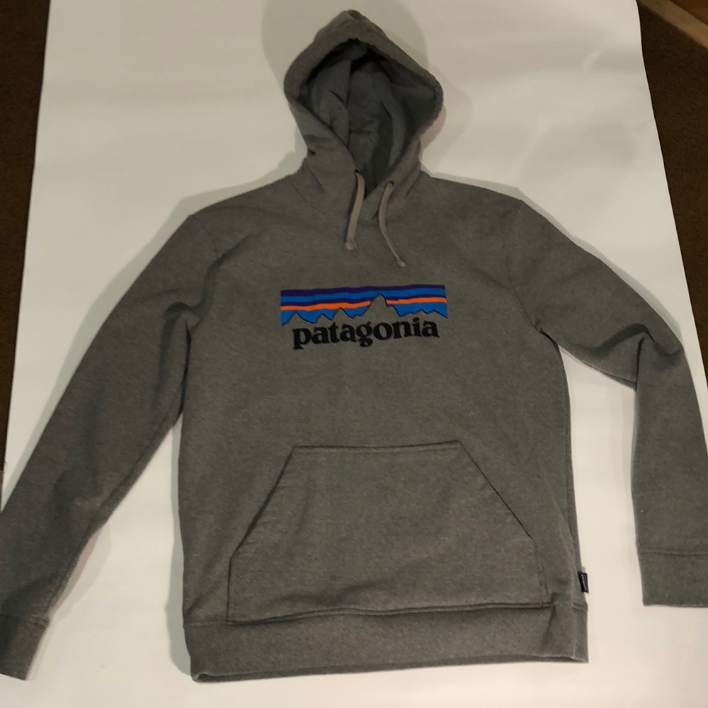 Patagonia hoodie